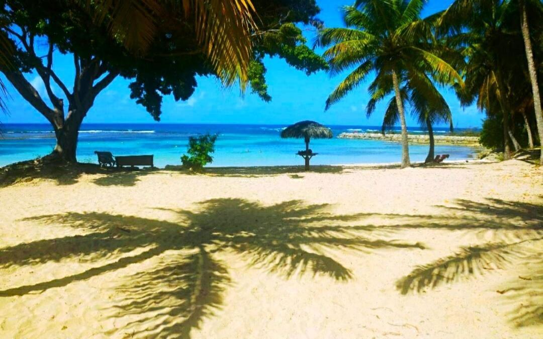 Le Ti'Paradise Anse Des Rochers Belle-Allée Buitenkant foto