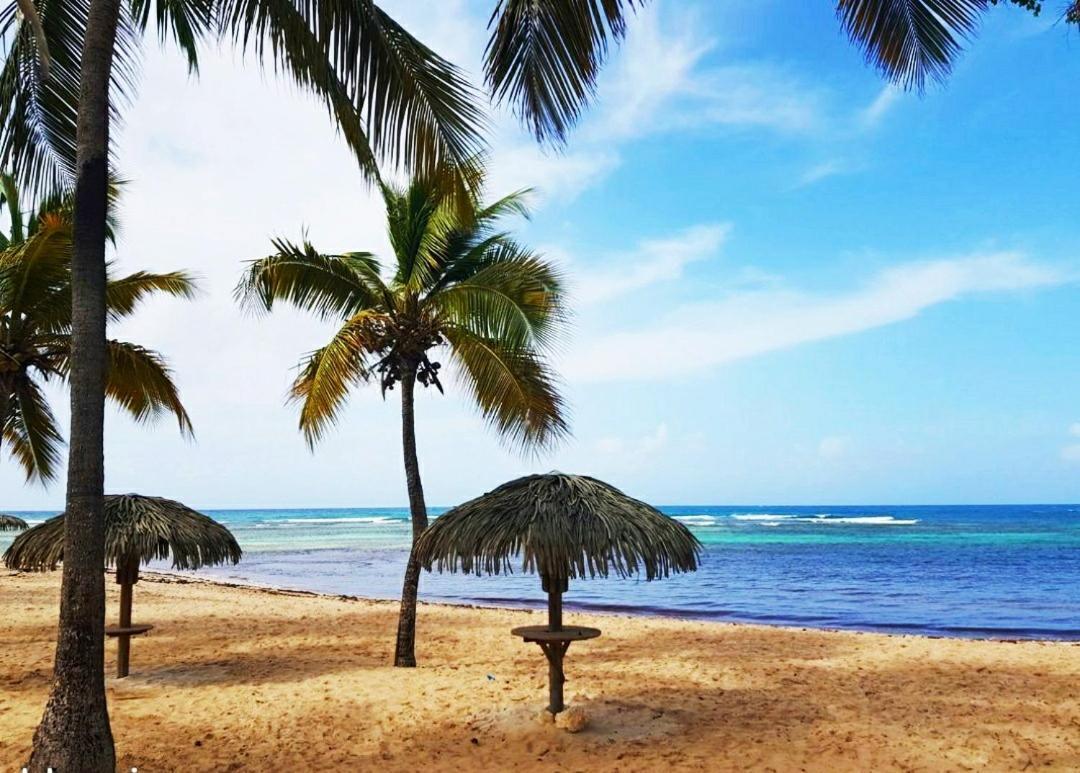 Le Ti'Paradise Anse Des Rochers Belle-Allée Buitenkant foto